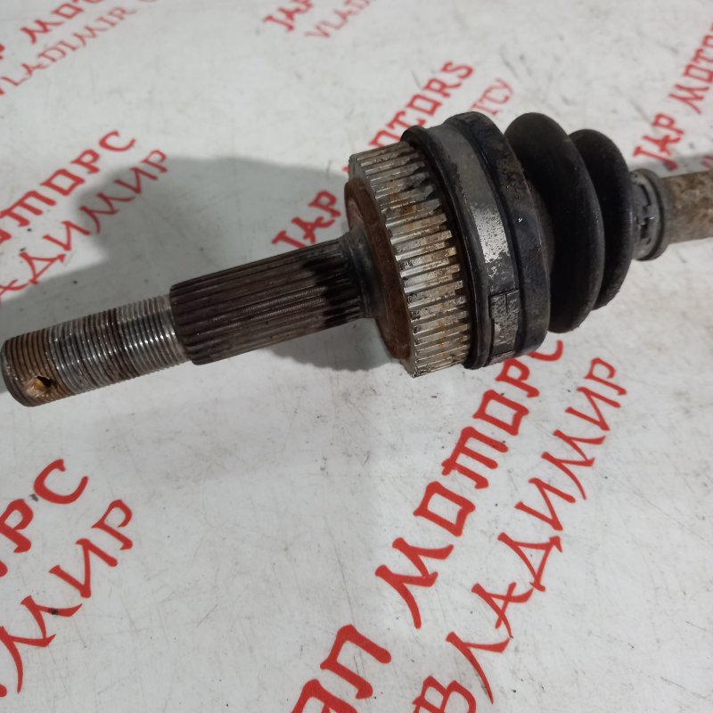 Привод, 2500 рублей, Владимир