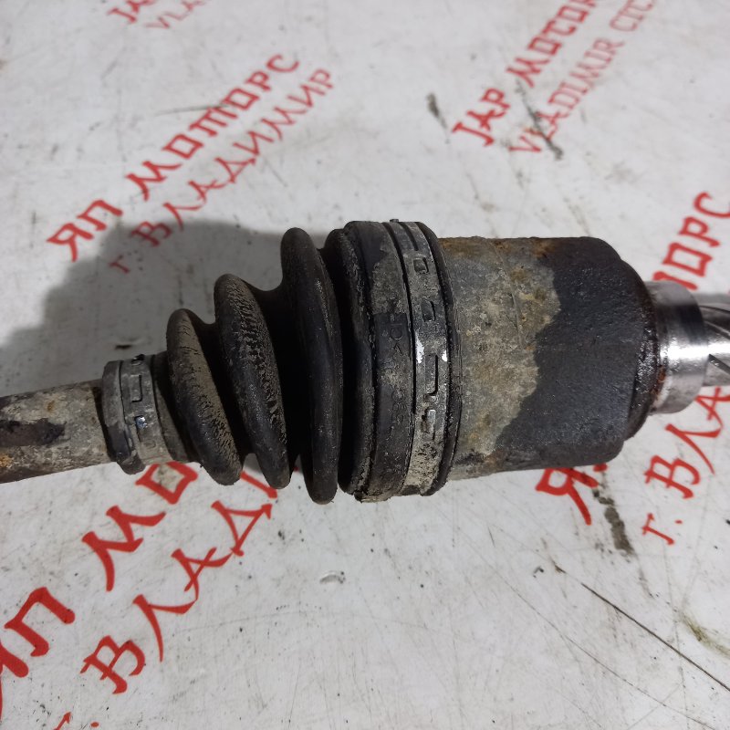 Привод, 2500 рублей, Владимир