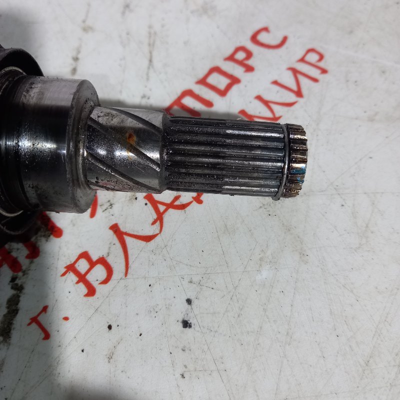 Привод, 2500 рублей, Владимир