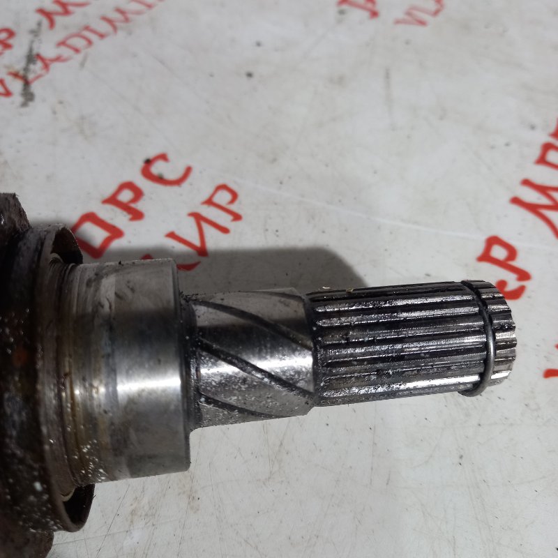 Привод, 2500 рублей, Владимир