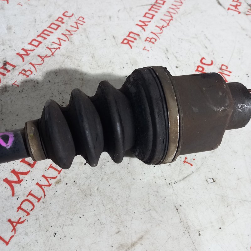 Привод, 7000 рублей, Владимир