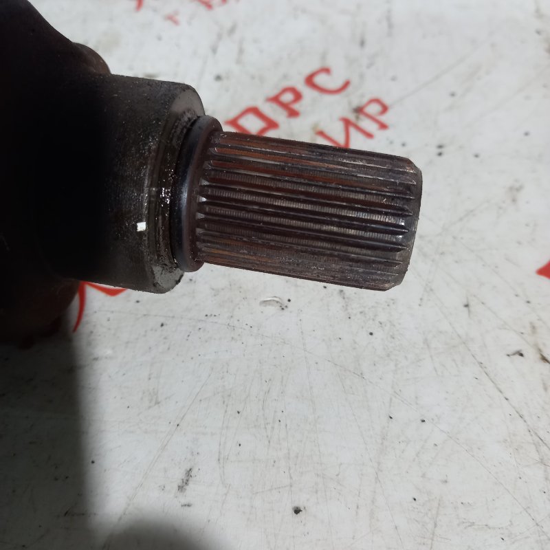 Привод, 7000 рублей, Владимир