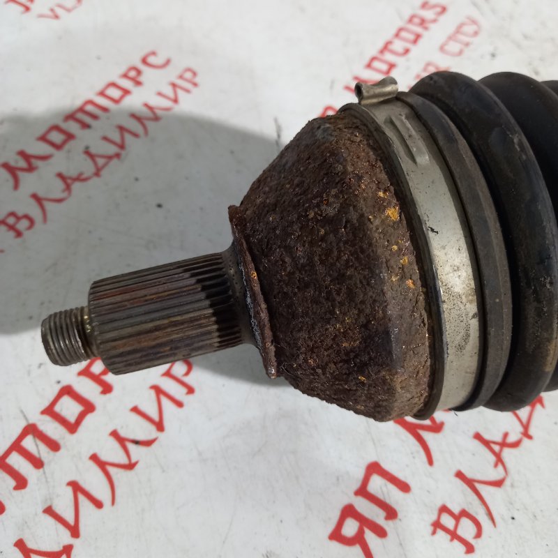 Привод, 5000 рублей, Владимир