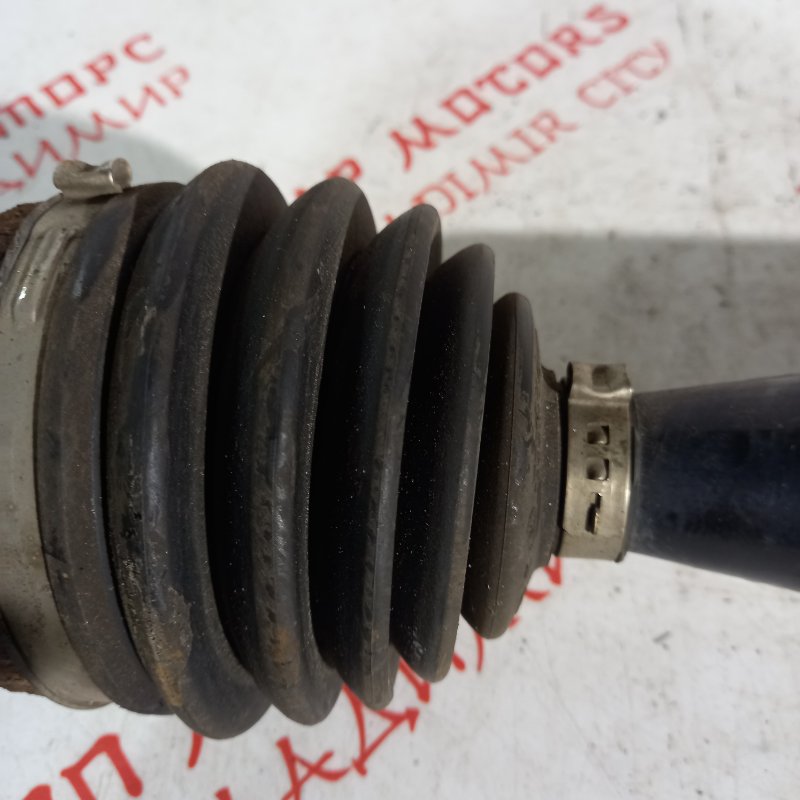 Привод, 5000 рублей, Владимир