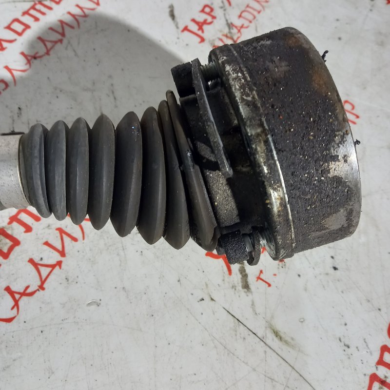 Привод, 5000 рублей, Владимир