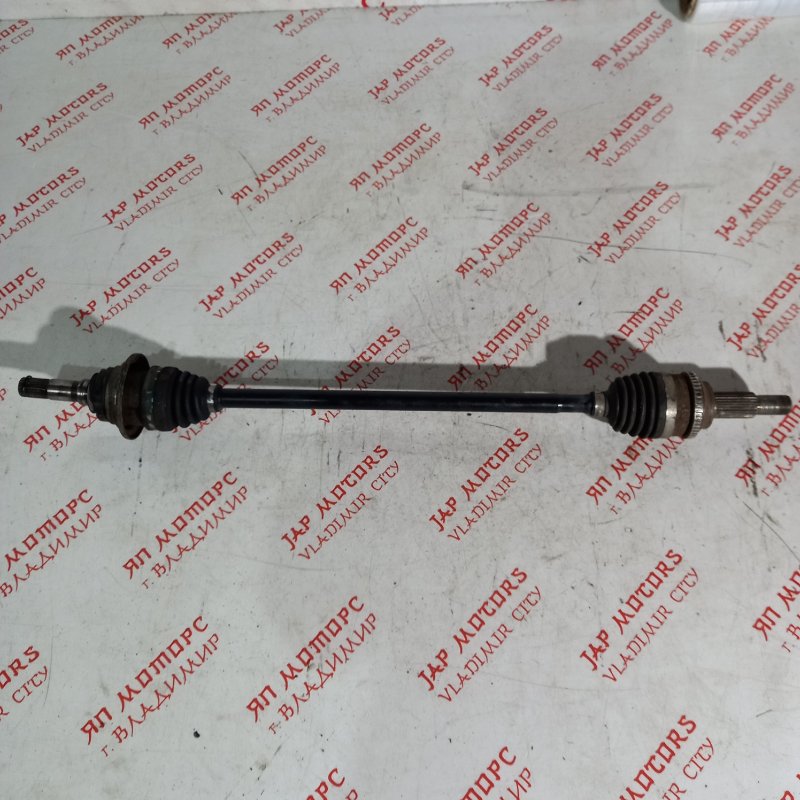 Привод, 5000 рублей, Владимир