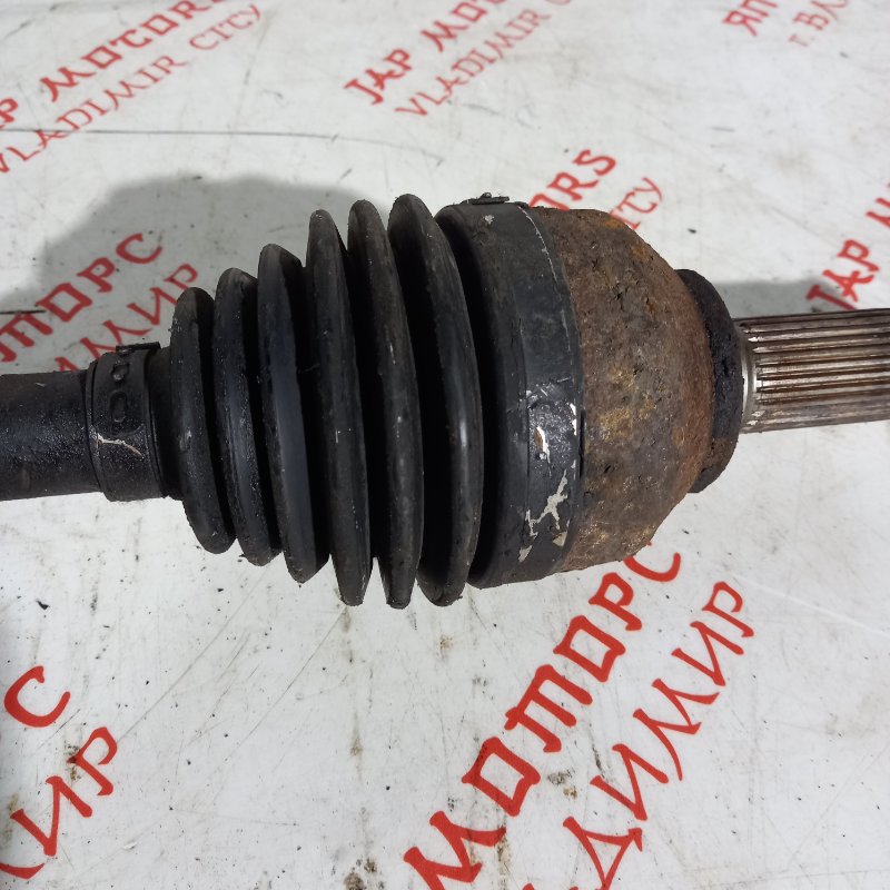 Привод, 15000 рублей, Владимир