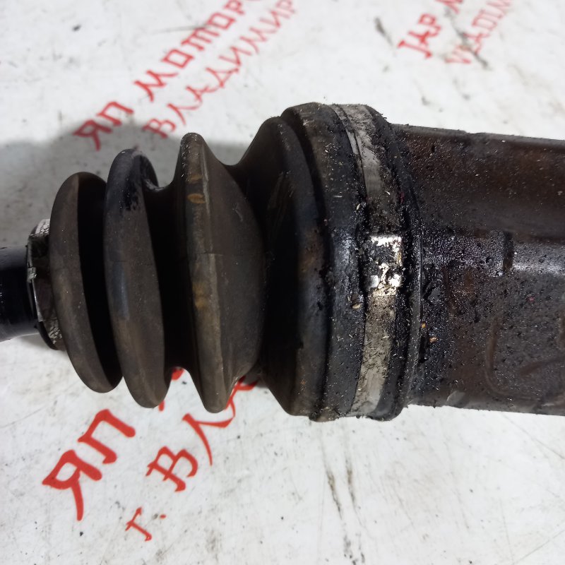 Привод, 4500 рублей, Владимир