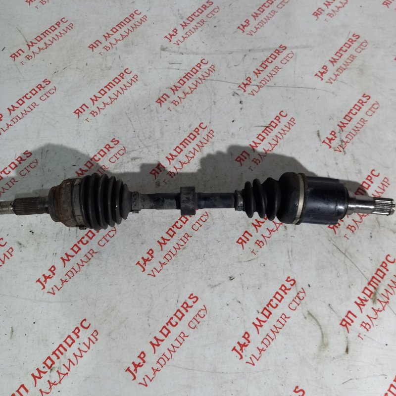 Привод, 8000 рублей, Владимир