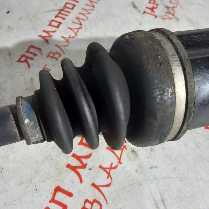 Привод, 8000 рублей, Владимир