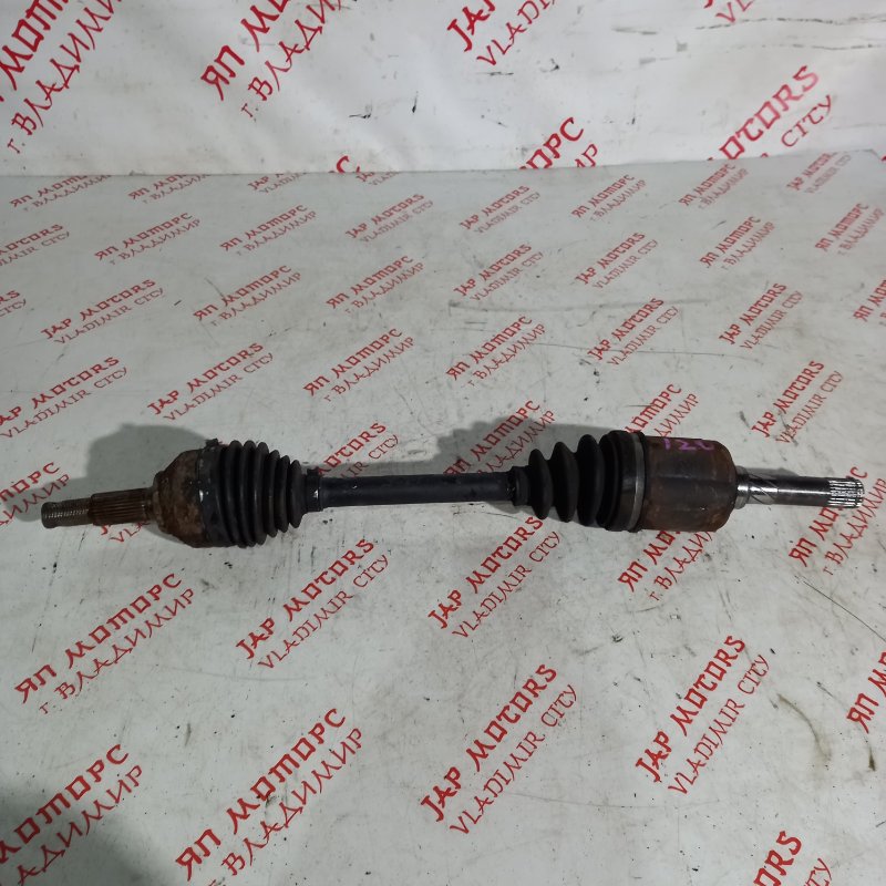 Привод, 10000 рублей, Владимир