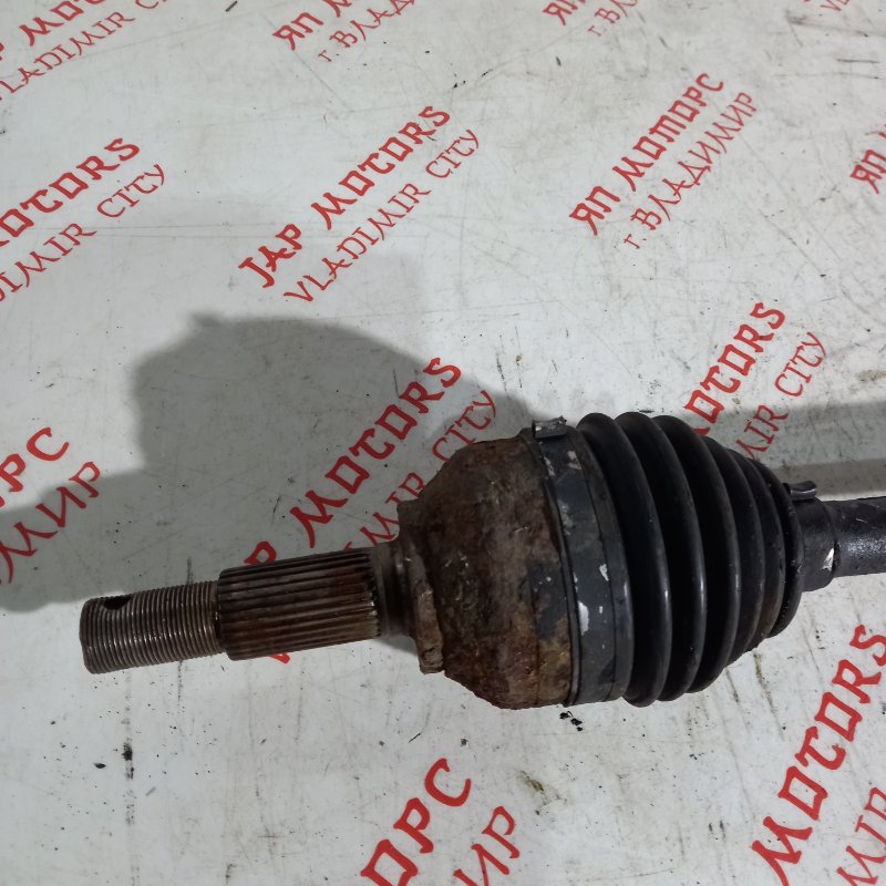 Привод, 10000 рублей, Владимир