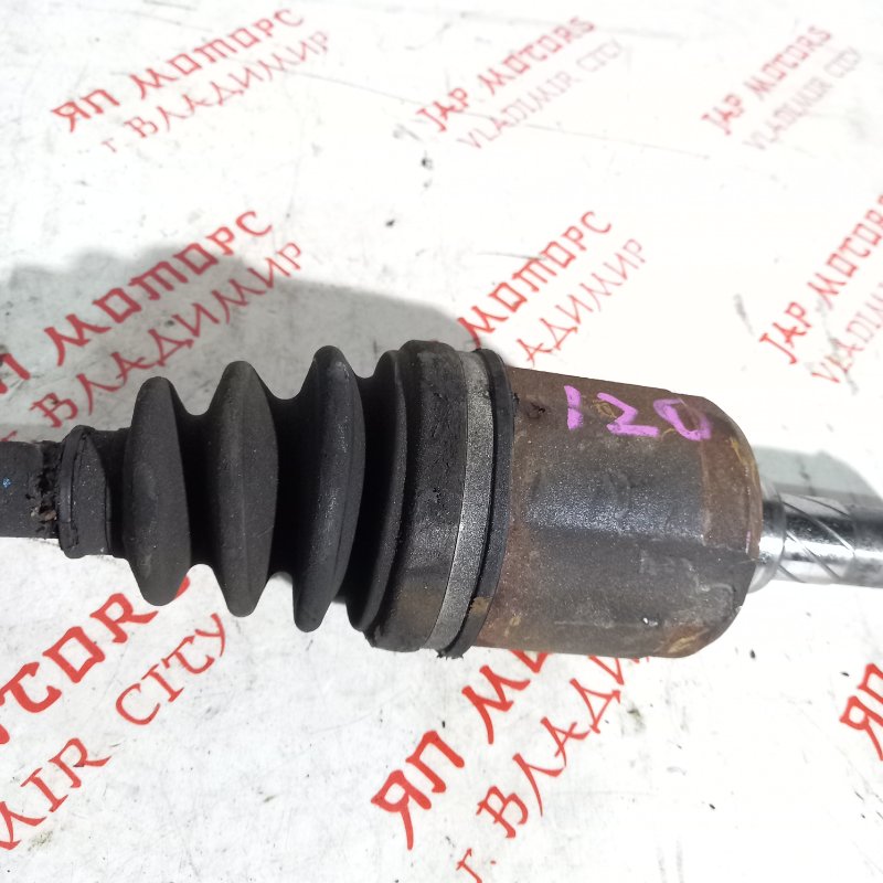 Привод, 10000 рублей, Владимир