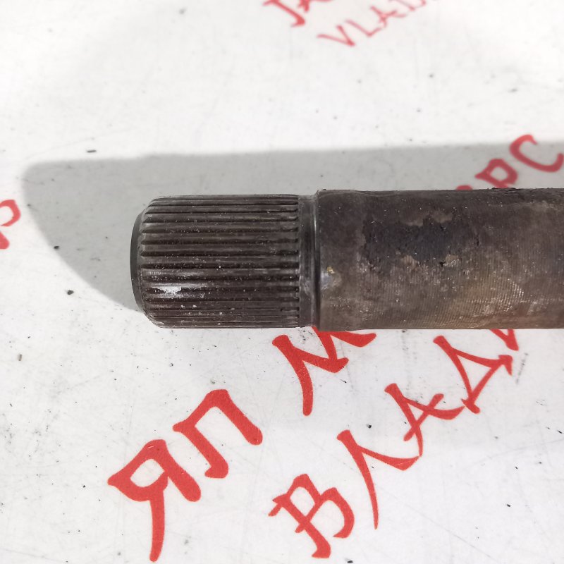 Привод, 5000 рублей, Владимир