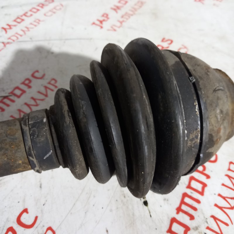 Привод, 5000 рублей, Владимир