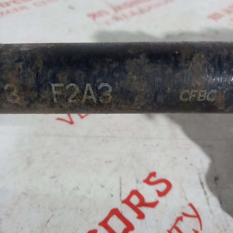 Привод, 8000 рублей, Владимир