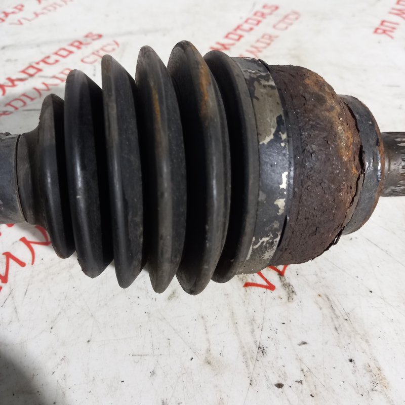 Привод, 8000 рублей, Владимир