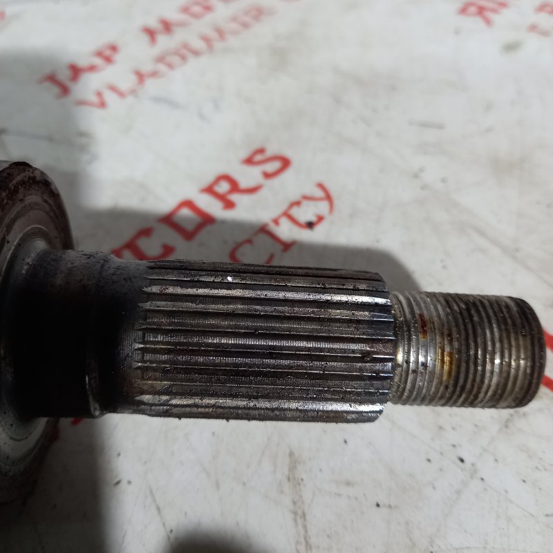 Привод, 8000 рублей, Владимир