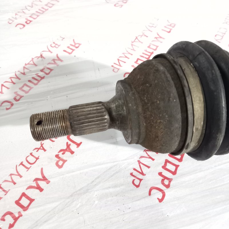 Привод, 2500 рублей, Владимир