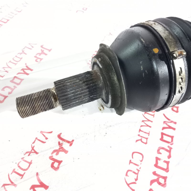 Привод, 5000 рублей, Владимир