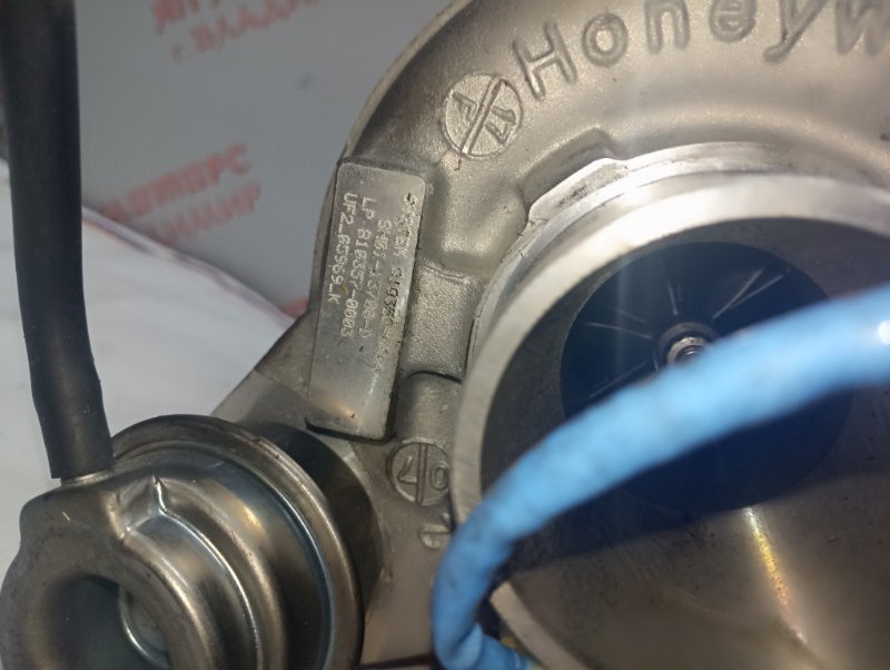 Турбина, 30000 рублей, Владимир