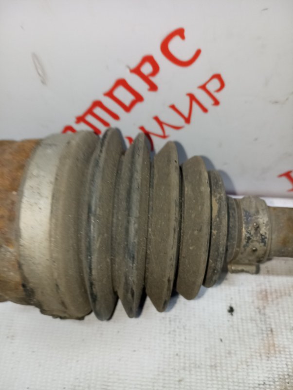 Привод, 5000 рублей, Владимир