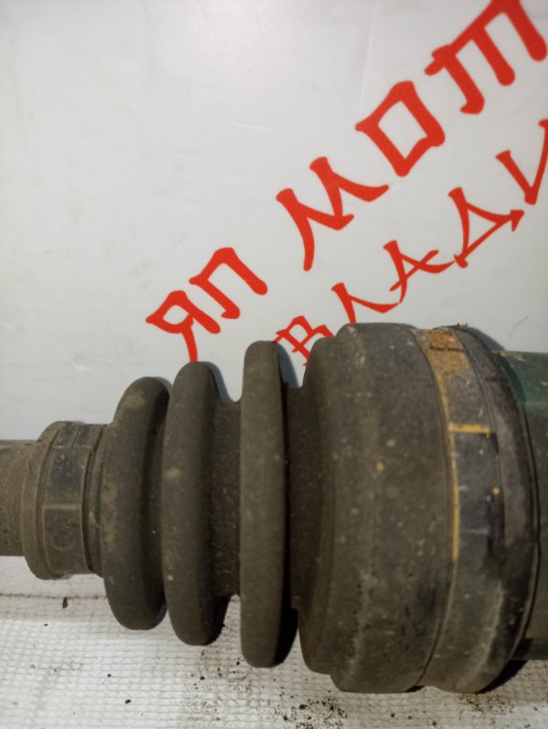 Привод, 5000 рублей, Владимир