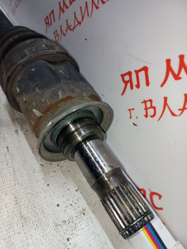 Привод, 5000 рублей, Владимир