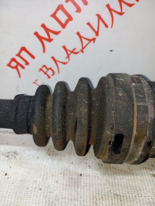 Привод, 5000 рублей, Владимир