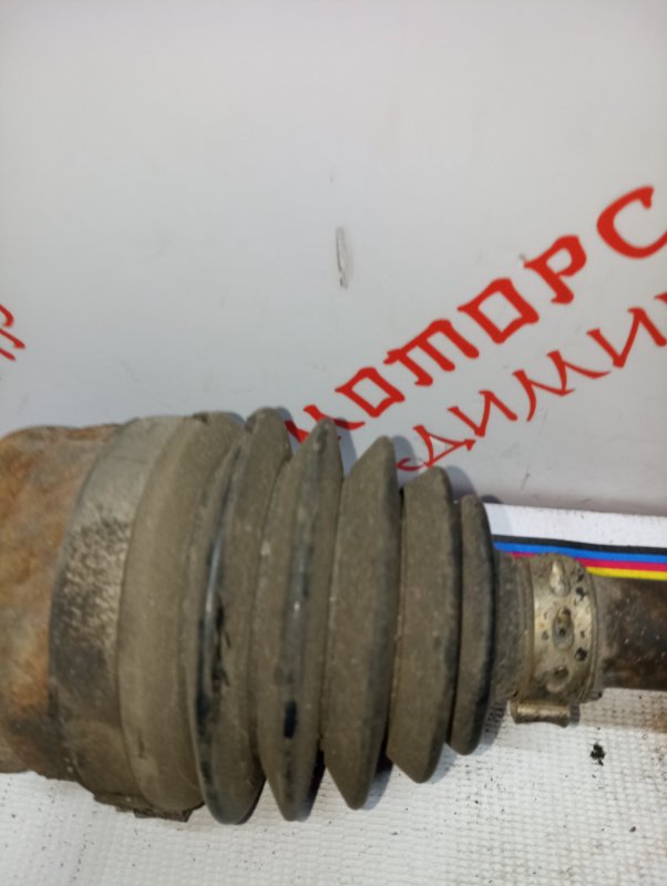 Привод, 5000 рублей, Владимир