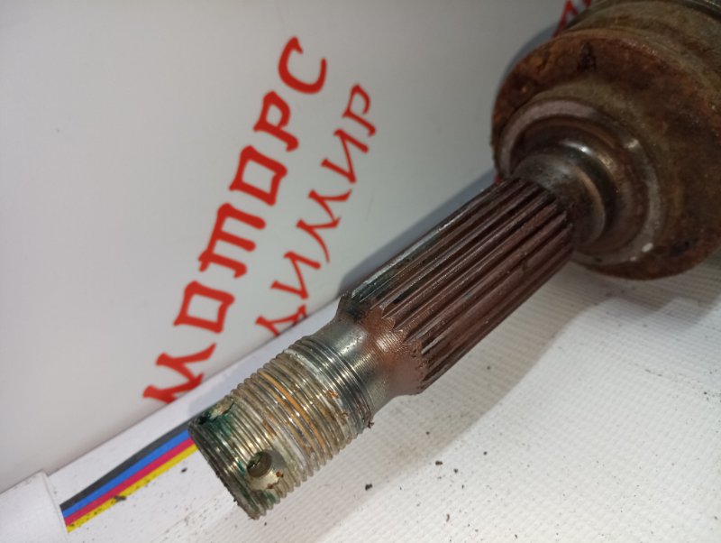 Привод, 5000 рублей, Владимир