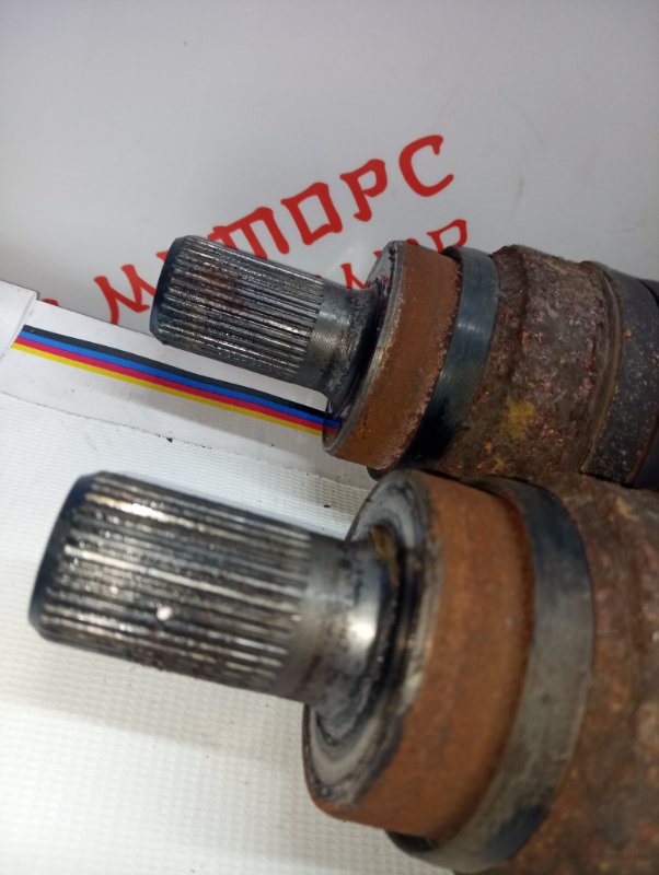 Привод, 3000 рублей, Владимир