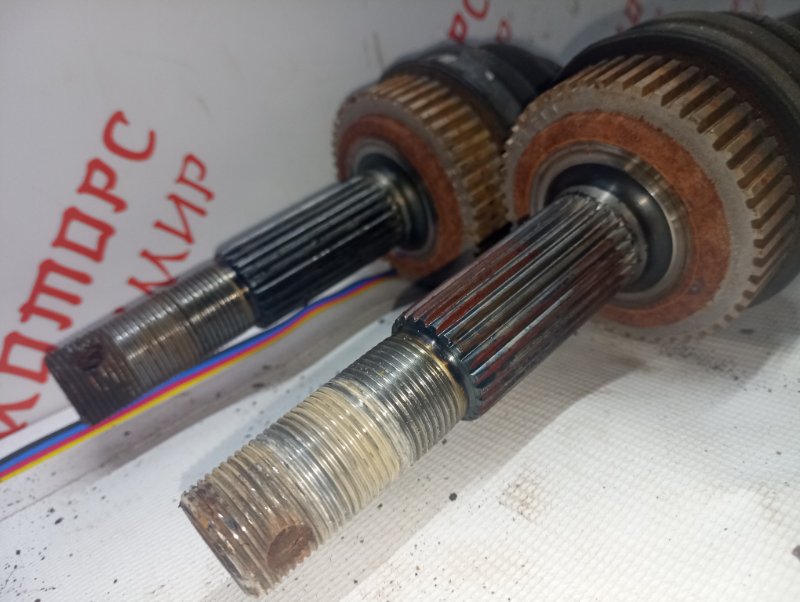 Привод, 2500 рублей, Владимир