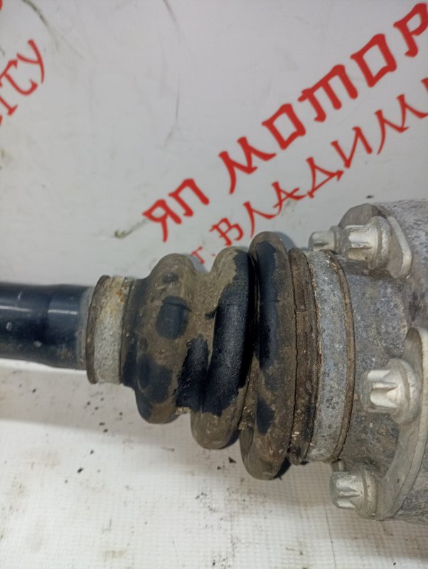 Привод, 3500 рублей, Владимир