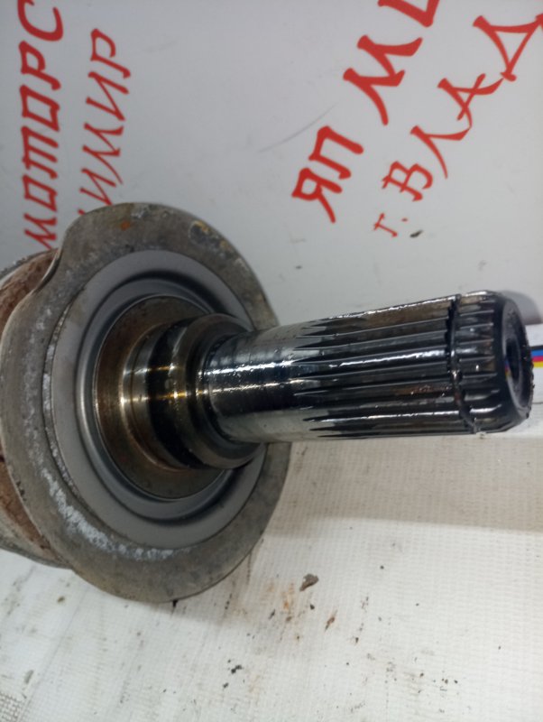 Привод, 3500 рублей, Владимир