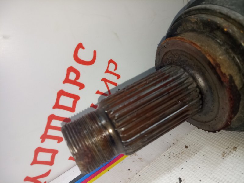 Привод, 3500 рублей, Владимир