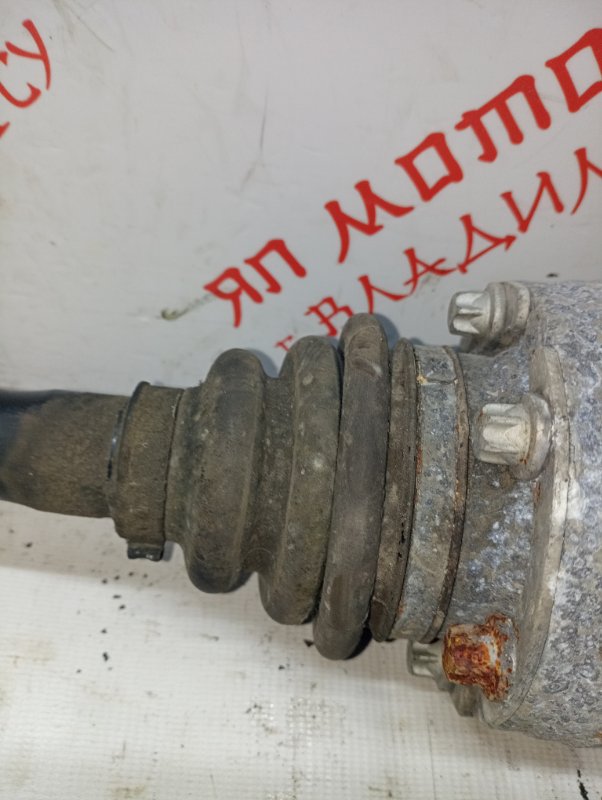 Привод, 3500 рублей, Владимир