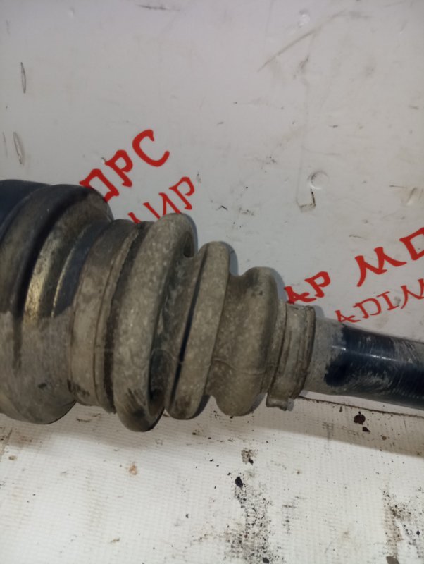 Привод, 3500 рублей, Владимир