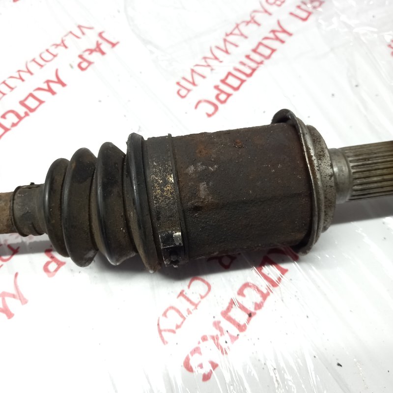 Привод, 4000 рублей, Владимир