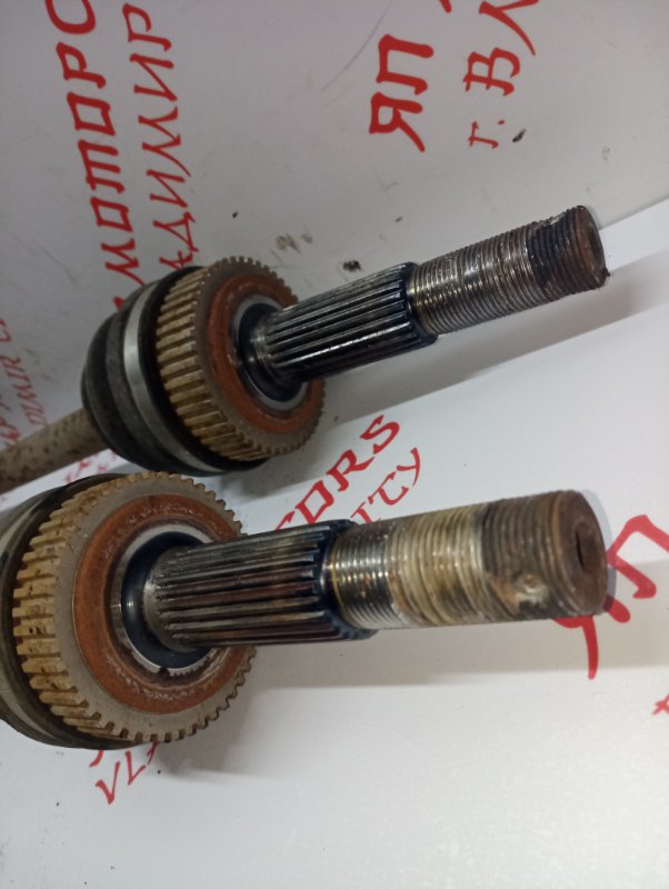 Привод, 2500 рублей, Владимир