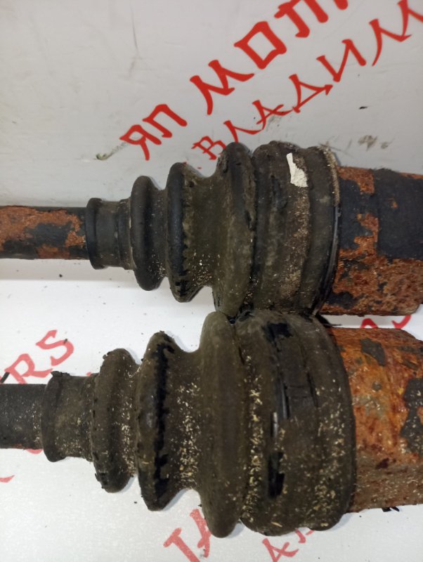 Привод, 2500 рублей, Владимир