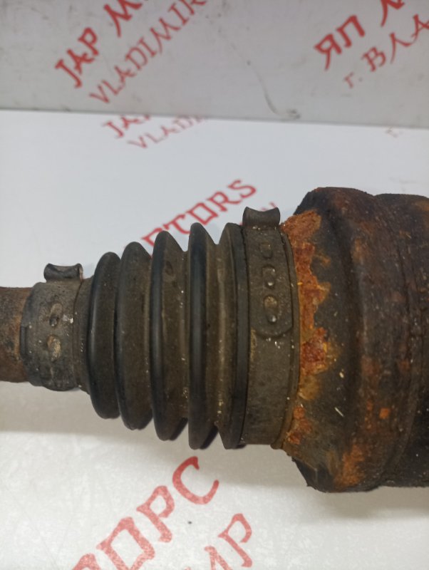 Привод, 3000 рублей, Владимир