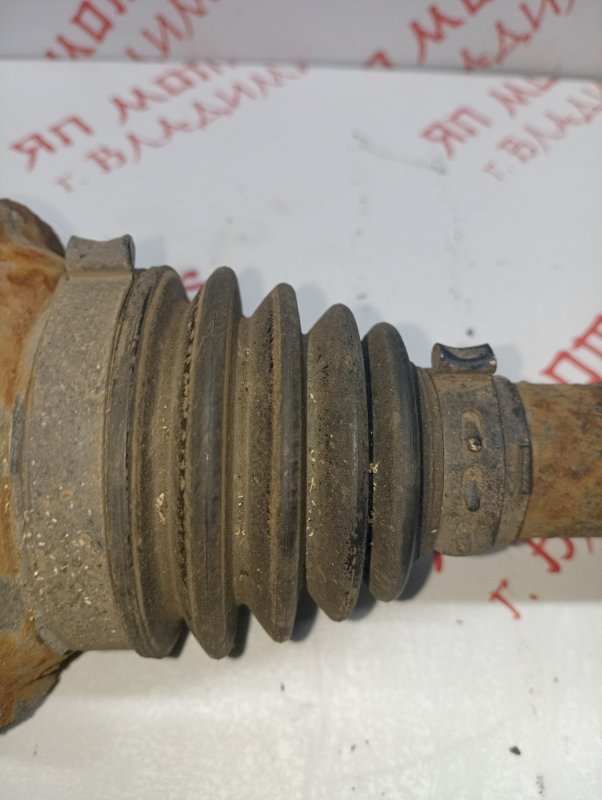 Привод, 3000 рублей, Владимир