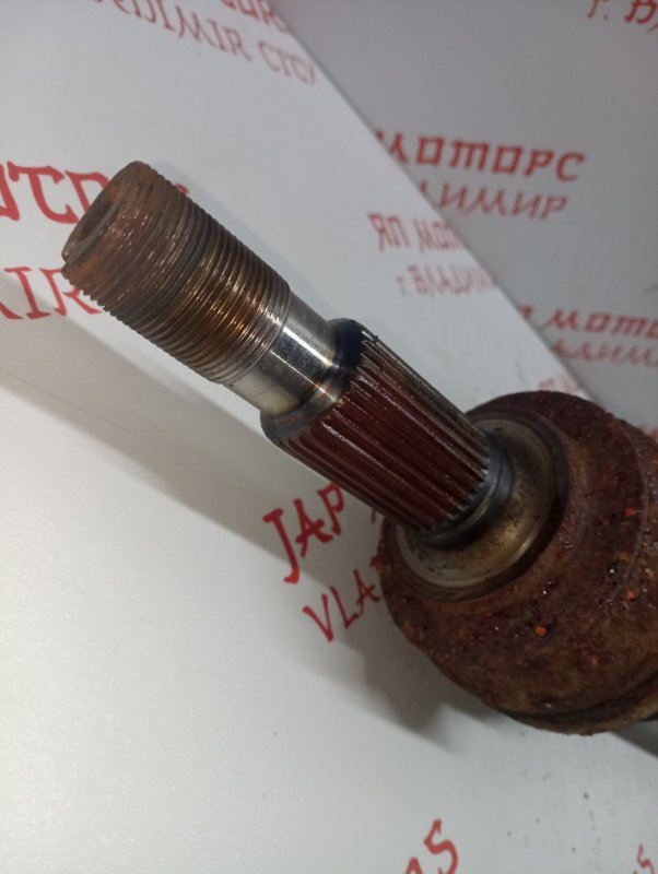 Привод, 3000 рублей, Владимир