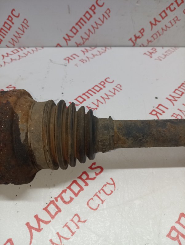 Привод, 3000 рублей, Владимир