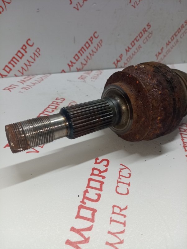 Привод, 3000 рублей, Владимир