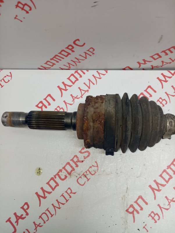 Привод, 5000 рублей, Владимир