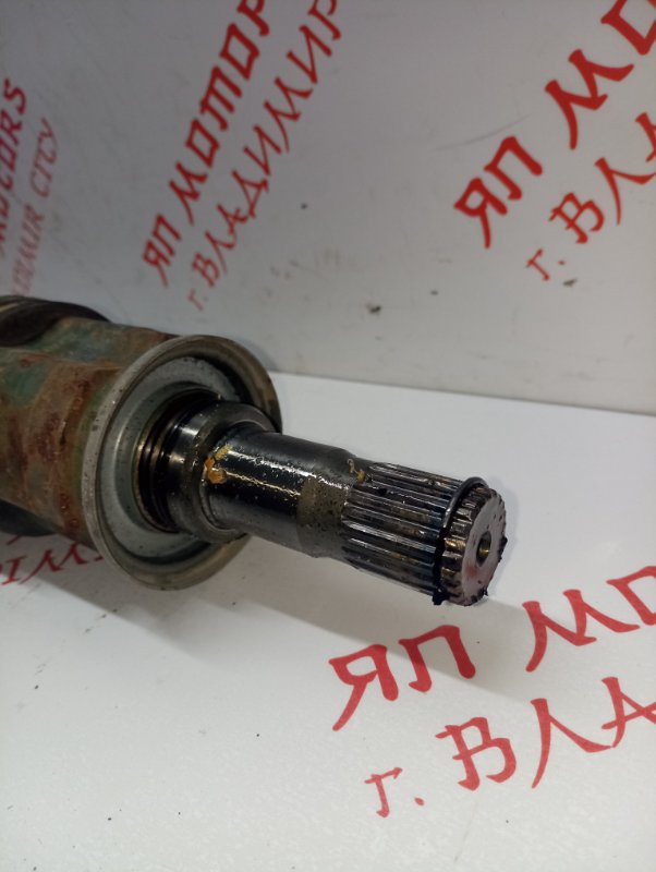 Привод, 5000 рублей, Владимир