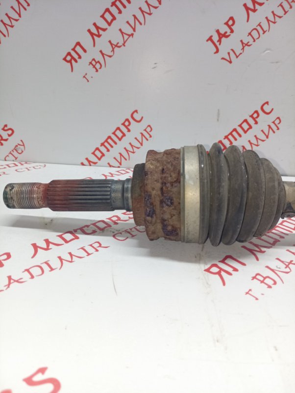 Привод, 5000 рублей, Владимир