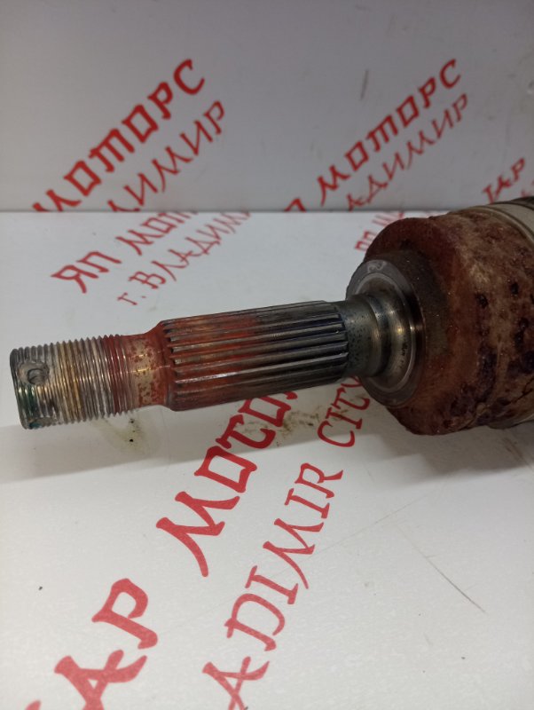 Привод, 5000 рублей, Владимир